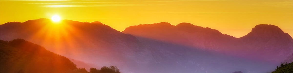 BANNER-PLACEHOLDER-1-WEB